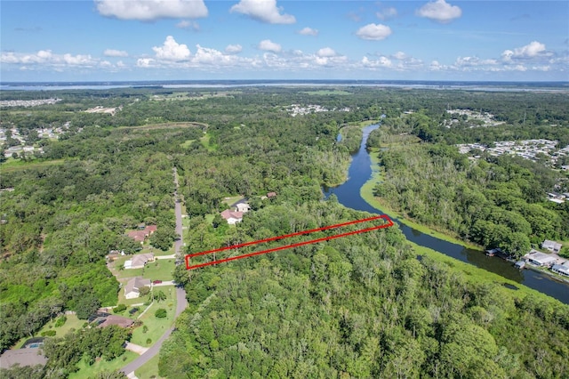 Haines Creek Rd, Leesburg, FL 34788 - photo 6