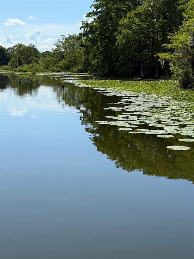 Haines Creek Rd, Leesburg, FL 34788 - photo 8