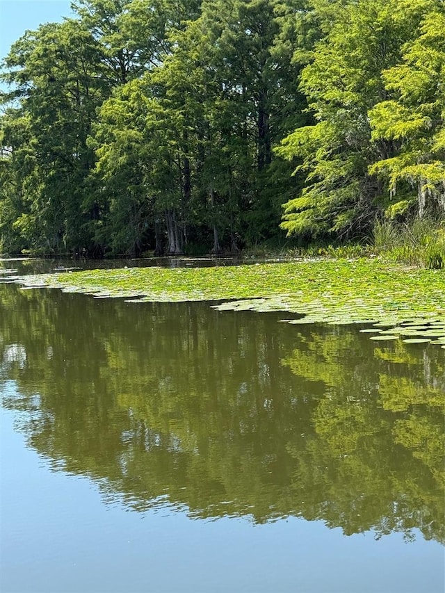 Haines Creek Rd, Leesburg, FL 34788 - photo 9