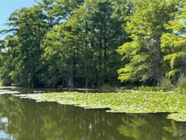 Haines Creek Rd, Leesburg, FL 34788 - photo 10