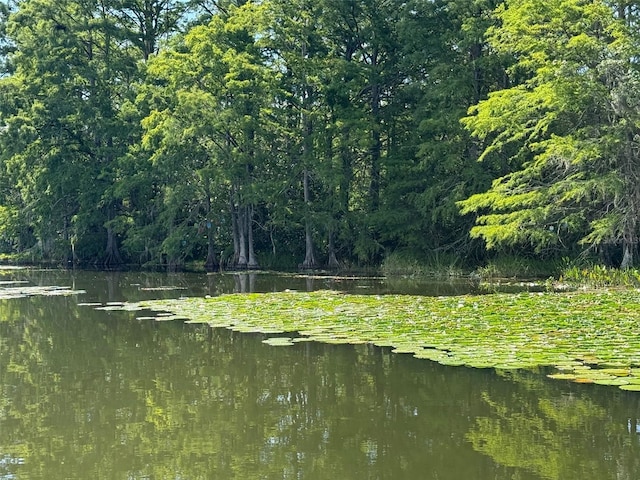 Haines Creek Rd, Leesburg, FL 34788 - photo 11