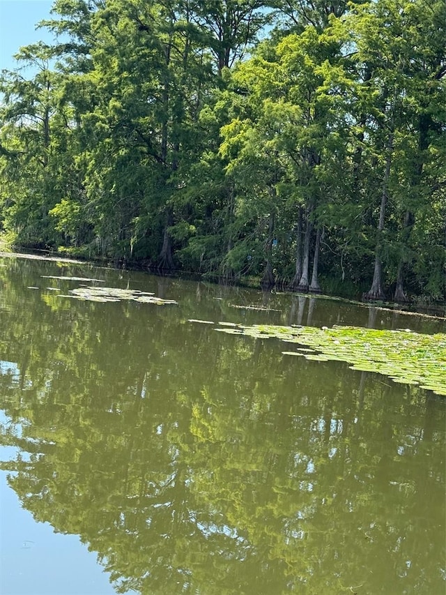 Haines Creek Rd, Leesburg, FL 34788 - photo 12