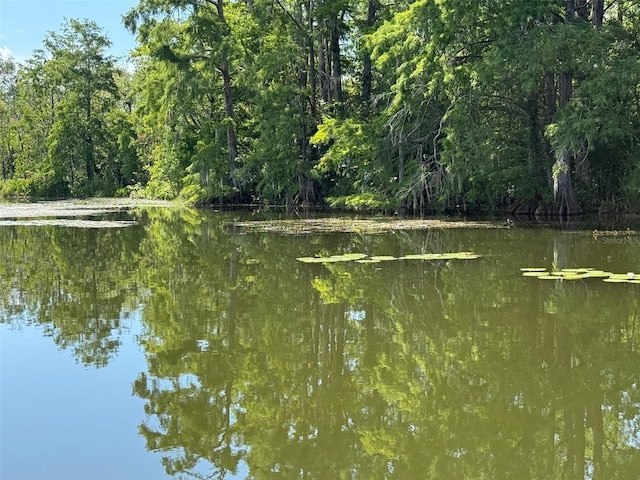 Haines Creek Rd, Leesburg, FL 34788 - photo 14