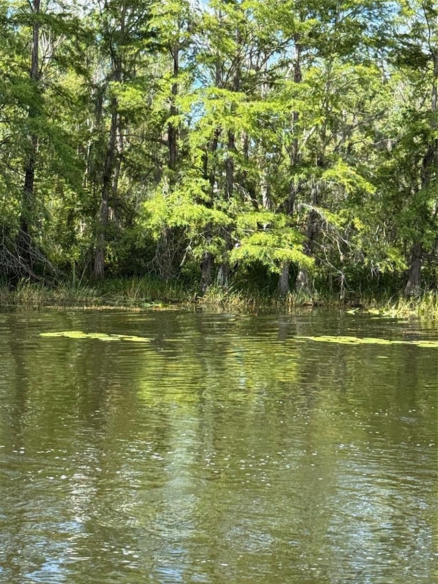 Haines Creek Rd, Leesburg, FL 34788 - photo 15