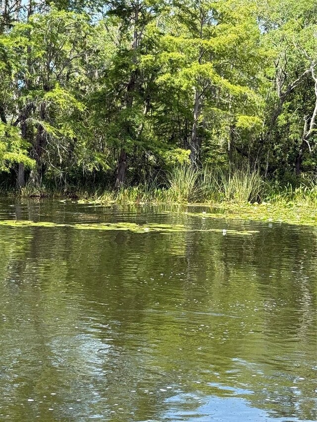 Haines Creek Rd, Leesburg, FL 34788 - photo 16