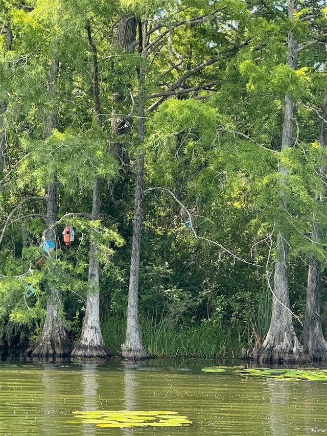 Haines Creek Rd, Leesburg, FL 34788 - photo 17