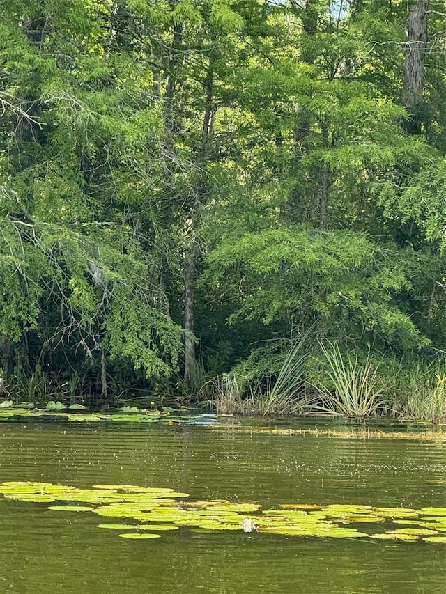 Haines Creek Rd, Leesburg, FL 34788 - photo 19