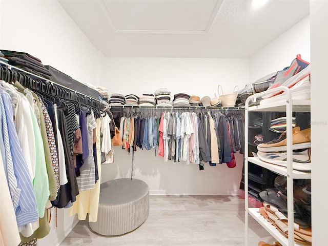 13993 Title Way, Winter Garden, FL 34787 - walk in closet featuring attic access and wood finished floors