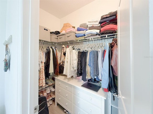 13993 Title Way, Winter Garden, FL 34787 - view of spacious closet