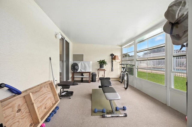 3280 Villa Way Cir, Saint Cloud, FL 34769 - workout room with carpet