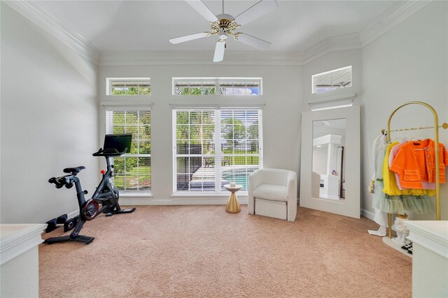 1741 Edgewater Dr, Mount Dora, FL 32757 - photo 15