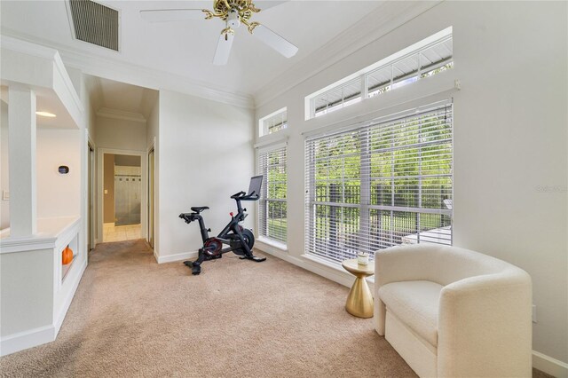 1741 Edgewater Dr, Mount Dora, FL 32757 - photo 16