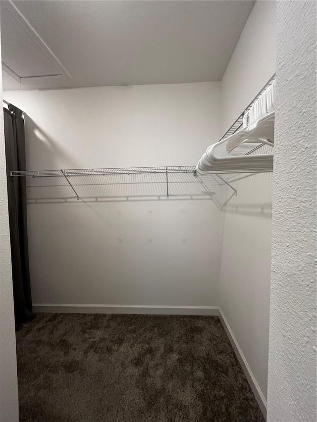 1351 Shinnecock Hills Dr, Davenport, FL 33896 - spacious closet featuring carpet floors and attic access