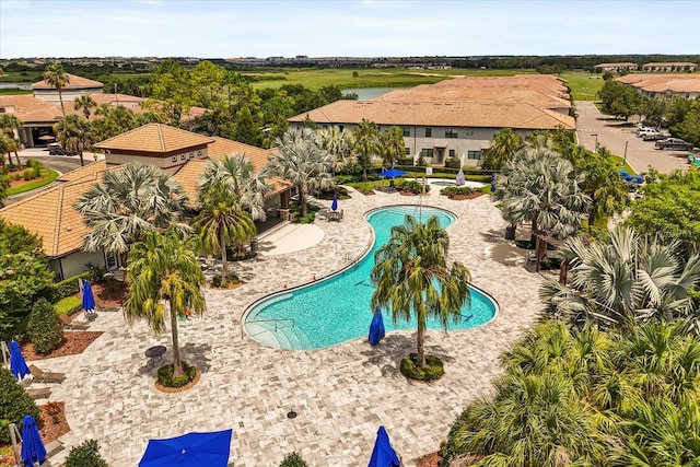 1351 Shinnecock Hills Dr, Davenport, FL 33896 - view of community pool