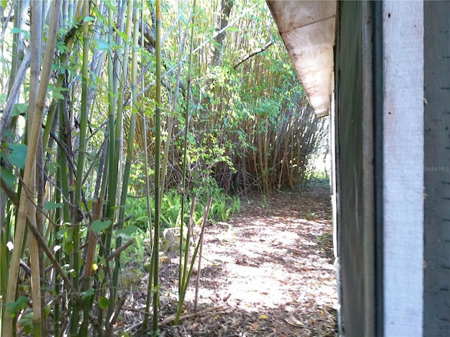31429 Anna St, Deland, FL 32720 - photo 4