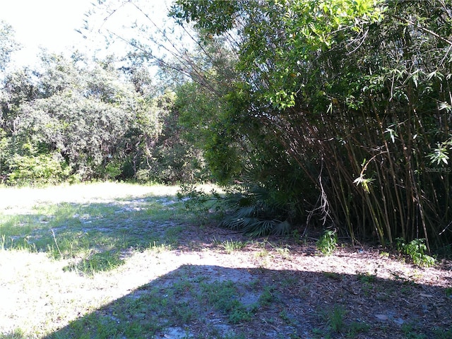 31429 Anna St, Deland, FL 32720 - photo 6