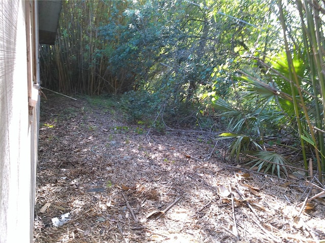 31429 Anna St, Deland, FL 32720 - photo 8