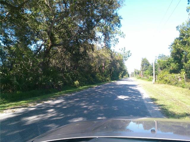 31429 Anna St, Deland, FL 32720 - photo 21