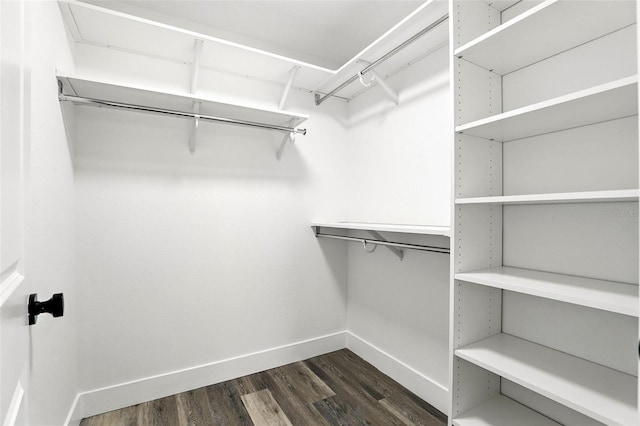 1850 N St, Longwood, FL 32750 - walk in closet featuring dark wood-type flooring