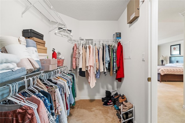 2613 Breezy Meadow Rd, Apopka, FL 32712 - spacious closet with carpet