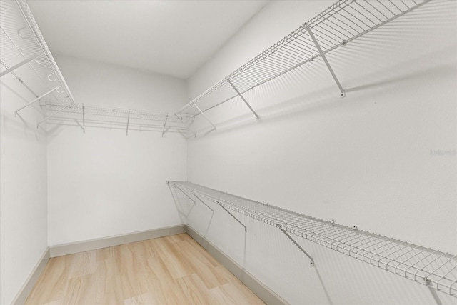 1030 Huntington Ct, Longwood, FL 32750 - walk in closet with light wood finished floors