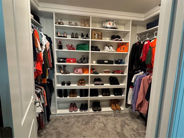 4316 Foggy Oak Ln, Sanford, FL 32773 - spacious closet with carpet flooring