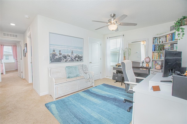 1785 Red Canyon Dr, Kissimmee, FL 34744 - photo 16