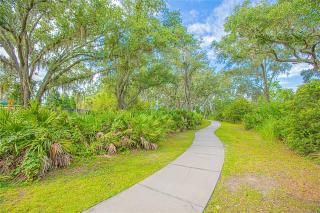 1785 Red Canyon Dr, Kissimmee, FL 34744 - photo 32