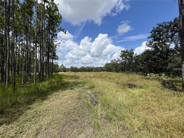 134 Hidden Palms Pl, Davenport, FL 33897 - photo 2