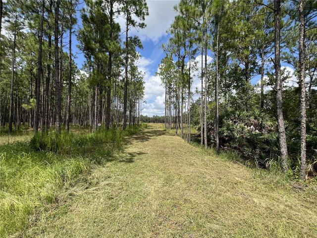 134 Hidden Palms Pl, Davenport, FL 33897 - photo 3