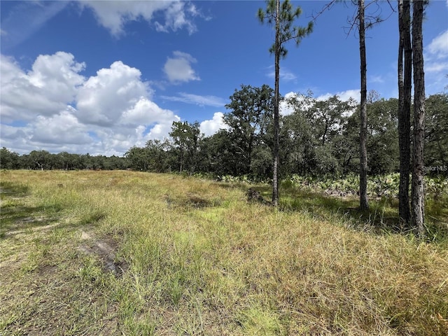 134 Hidden Palms Pl, Davenport, FL 33897 - photo 4