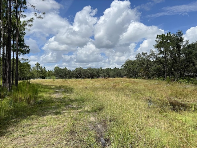 134 Hidden Palms Pl, Davenport, FL 33897 - photo 5
