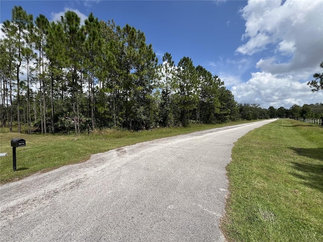 134 Hidden Palms Pl, Davenport, FL 33897 - photo 8