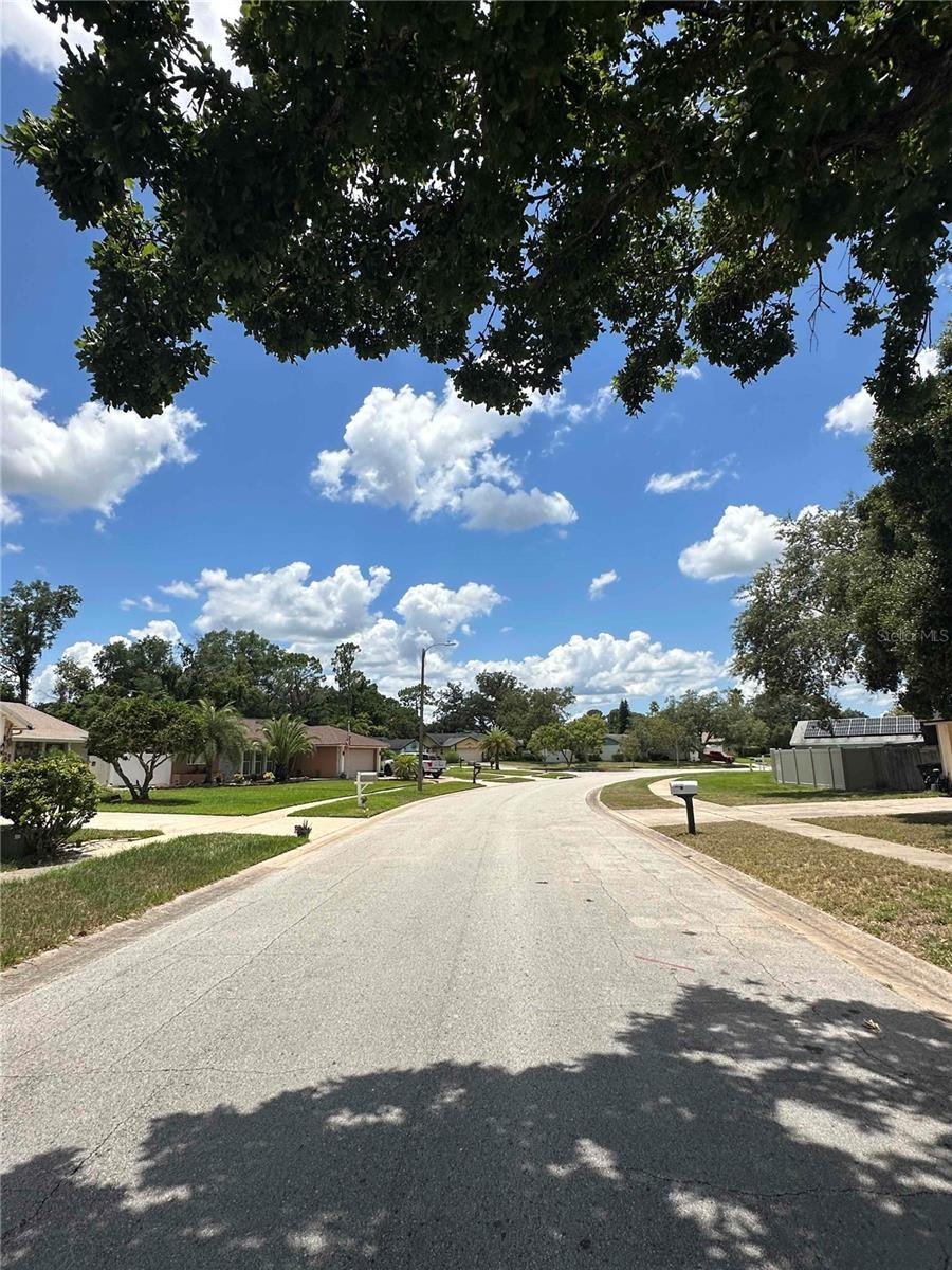 448 S Meander Dr, Altamonte Springs, FL 32714 - view of asphalt road with sidewalks and curbs