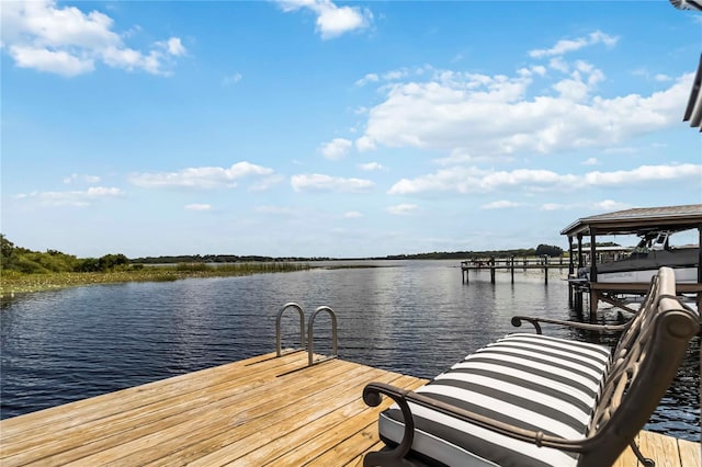 3404 Shallow Cove Ln, Clermont, FL 34711 - photo 52