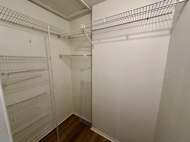 125 Reserve Cir Unit 205, Oviedo, FL 32765 - walk in closet featuring wood finished floors