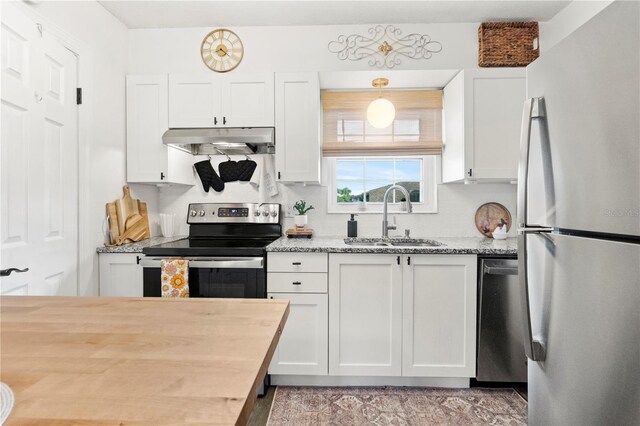 1100 E Caroline St Unit 204, Tavares, FL 32778 - kitchen with stainless steel appliances, under cabinet range hood, white cabinets, and wood counters