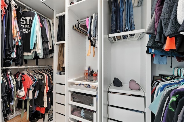 1110 Pine Falls Ln, Ocoee, FL 34761 - view of walk in closet
