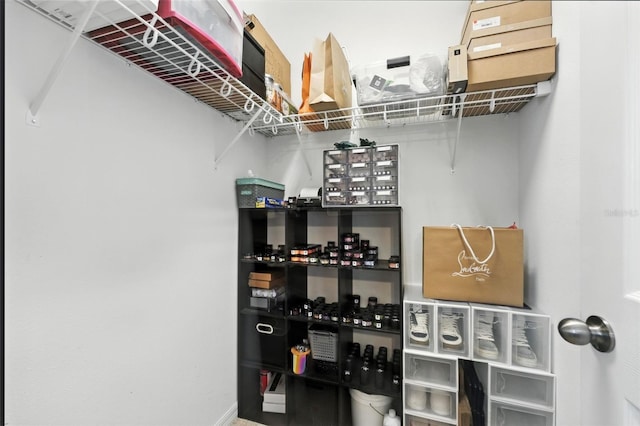1110 Pine Falls Ln, Ocoee, FL 34761 - view of walk in closet