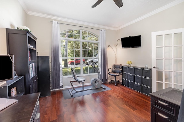 538 Majestic Oak Dr, Apopka, FL 32712 - photo 11