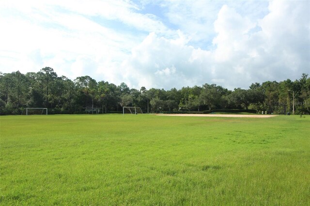 14130 Leicester Ln, Orlando, FL 32828 - photo 68