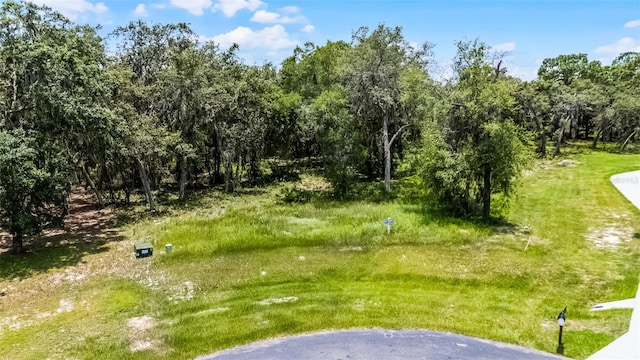 3170 Bright Lake Cir, Groveland, FL 34736 - photo 3