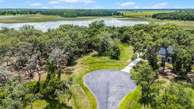 3170 Bright Lake Cir, Groveland, FL 34736 - photo 6