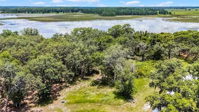 3170 Bright Lake Cir, Groveland, FL 34736 - photo 8