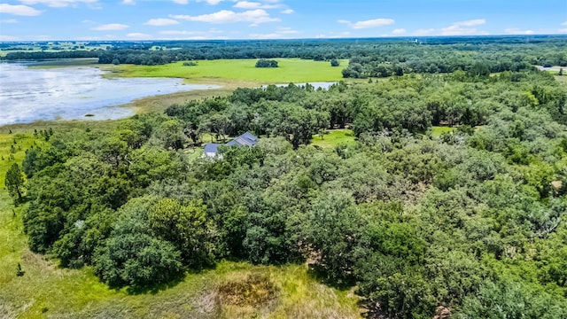 3170 Bright Lake Cir, Groveland, FL 34736 - photo 10