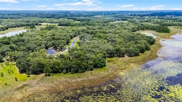 3170 Bright Lake Cir, Groveland, FL 34736 - photo 11