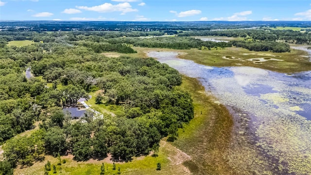 3170 Bright Lake Cir, Groveland, FL 34736 - photo 12