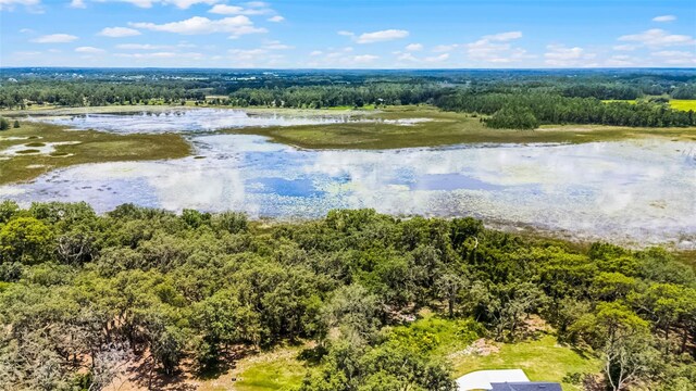 3170 Bright Lake Cir, Groveland, FL 34736 - photo 15
