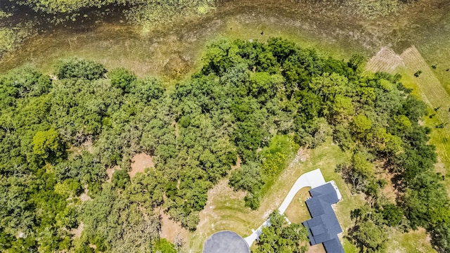 3170 Bright Lake Cir, Groveland, FL 34736 - photo 19
