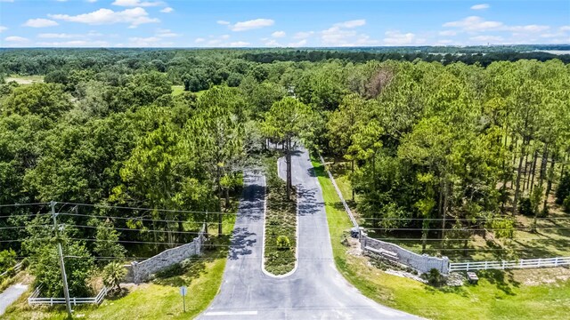 3170 Bright Lake Cir, Groveland, FL 34736 - photo 21